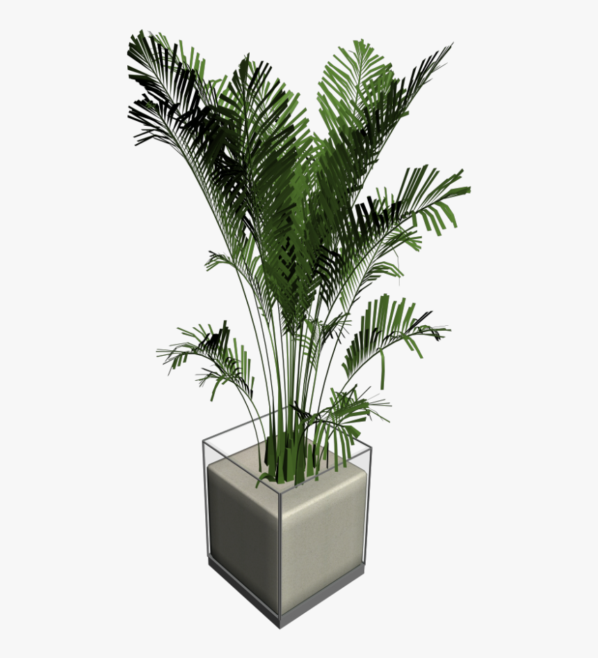 House Plant Png - Houseplant, Transparent Png