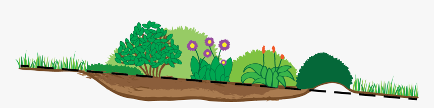 Flower Beds Clipart Image Freeuse Rain Garden - Rain Gardens On A Slope, HD Png Download