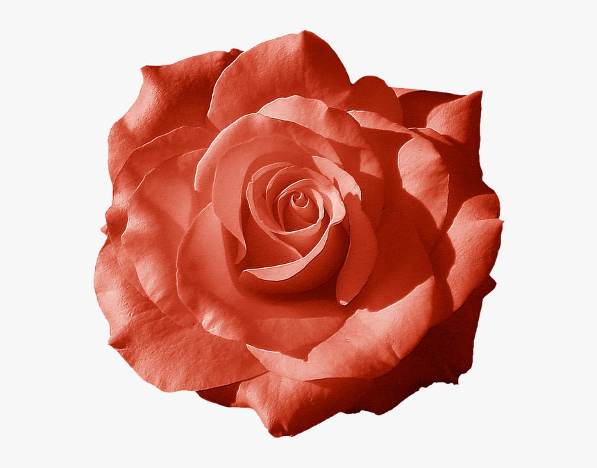 Garden, HD Png Download