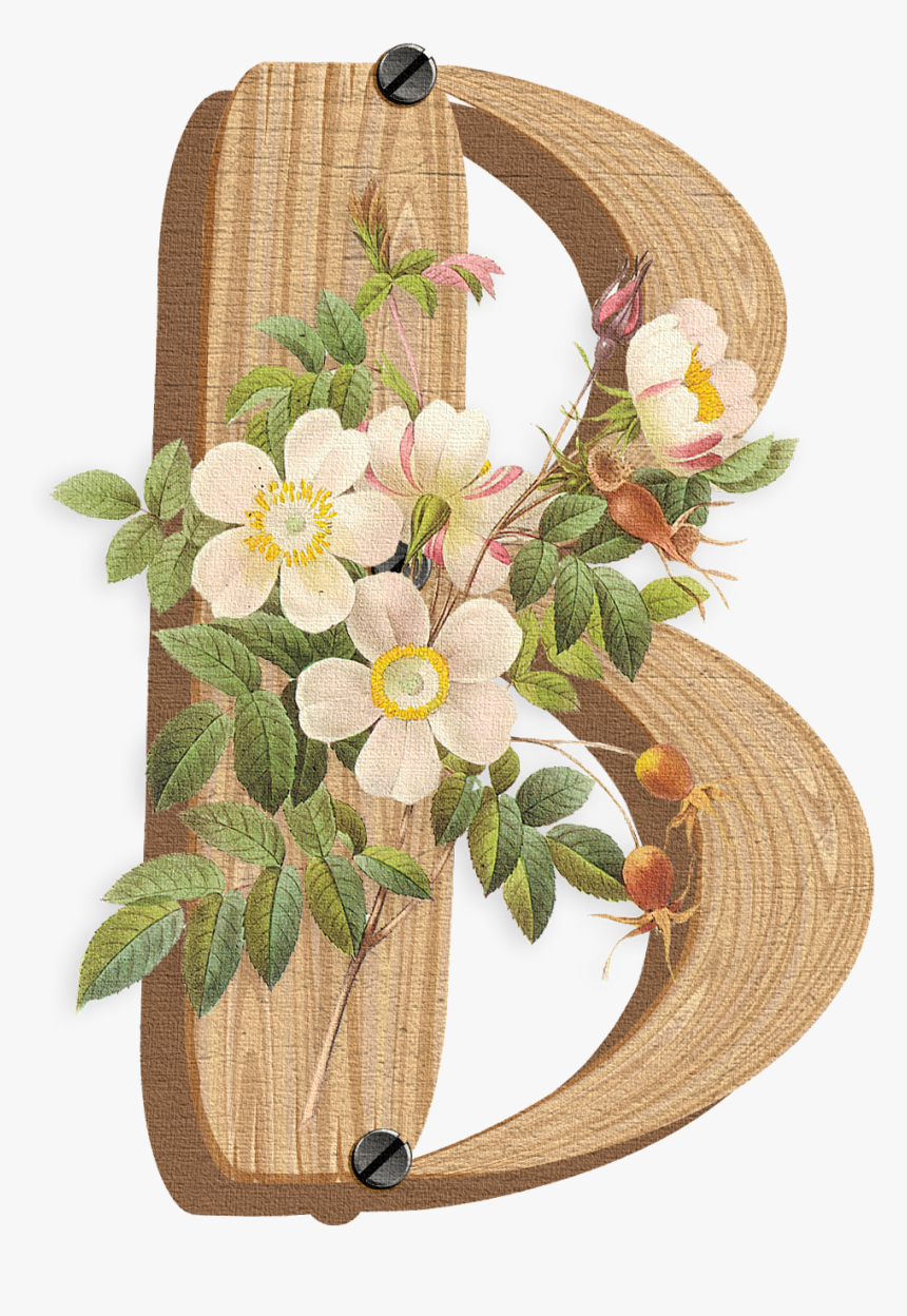 Letter C Logo Png, Transparent Png