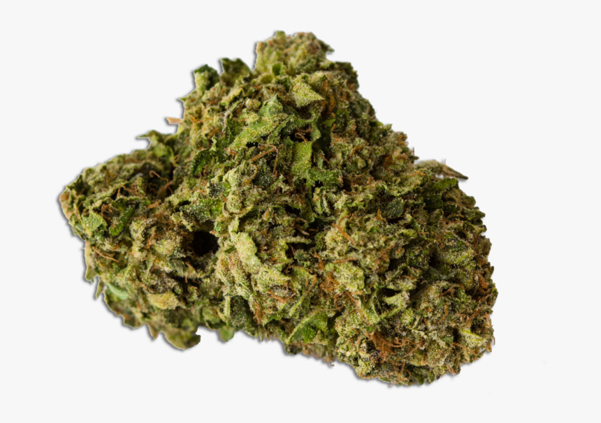Moss, HD Png Download