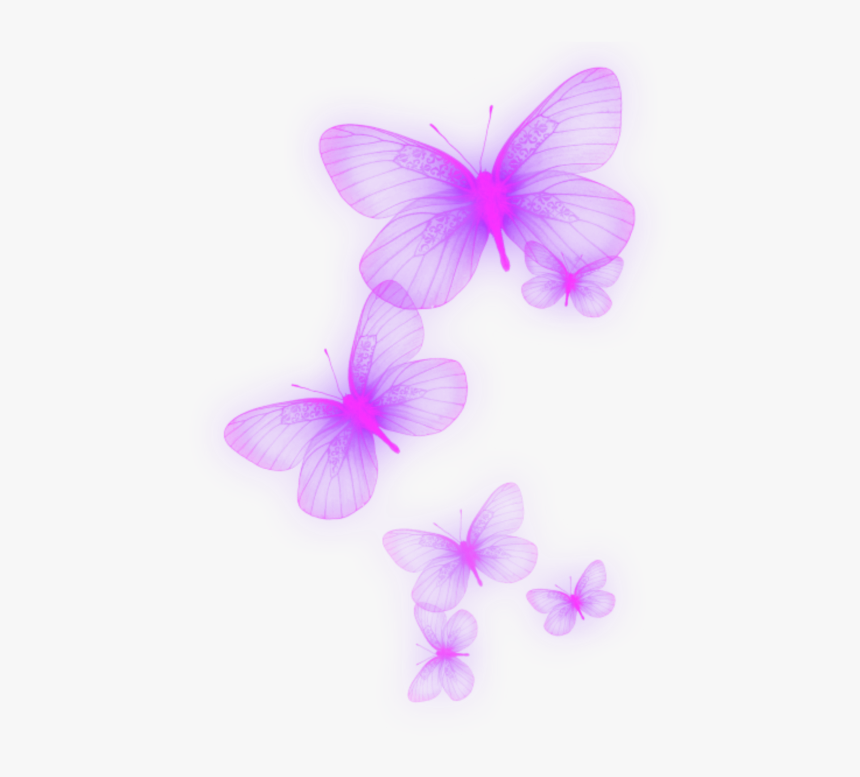 #neon #purple #lila #butterfly #schmetterling - Pieridae, HD Png Download