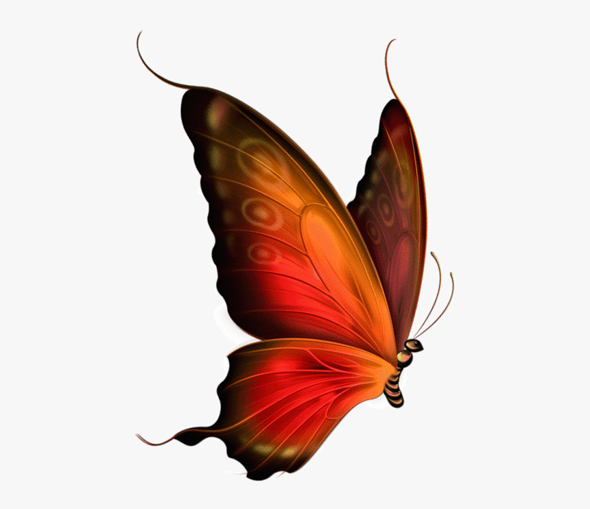 0 A3eae E68db70b Xl - Transparent Background Butterfly Gif, HD Png Download