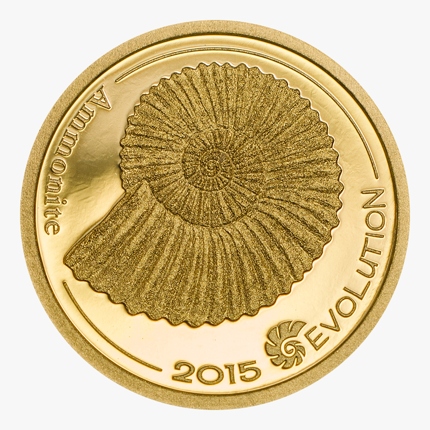Evolution Of Life 2015 Gold Ammonite, HD Png Download