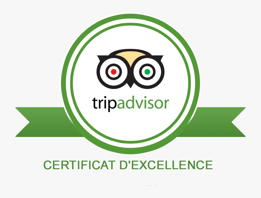 Trip Advisor - Transparent Background Tripadvisor Logo, HD Png Download