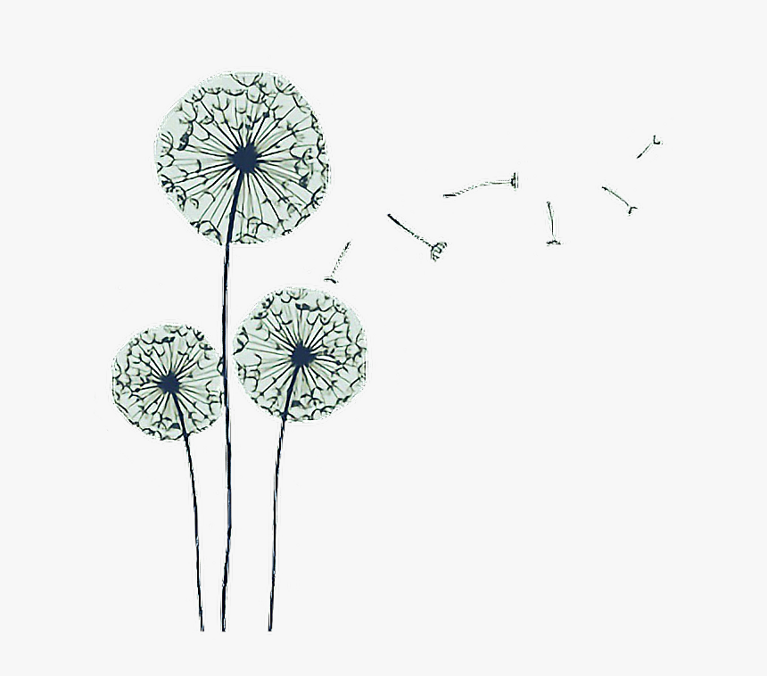 #tumblr #aesthetic #tumblraesthetic #aesthetictumblr - Dandelion, HD Png Download