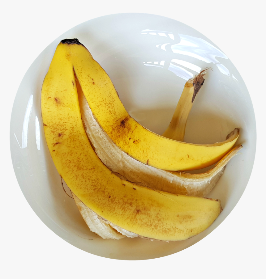 Cáscara De Plátano Qué Beneficios, HD Png Download
