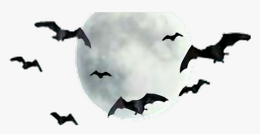 #moon #bats #freetoedit - Moon With Bats Png, Transparent Png