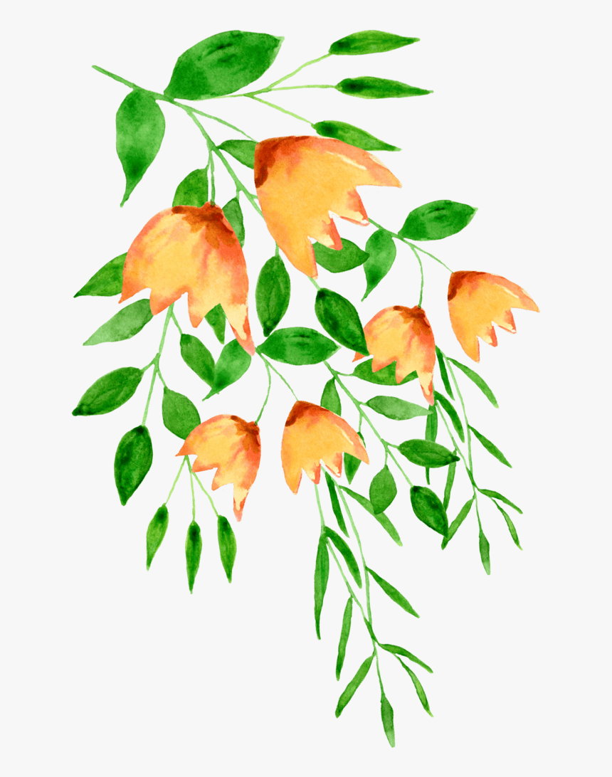 中国风荷花水彩画 - Riberry, HD Png Download