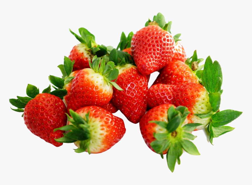 Jpg Library Library With Png Image Purepng - Class Of Food Vitamin, Transparent Png