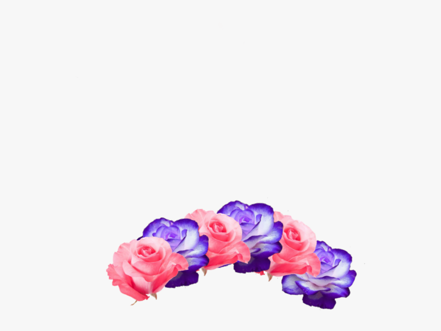 #flower Crown #pink #purple #cute #pretty #beautiful - Garden Roses, HD Png Download