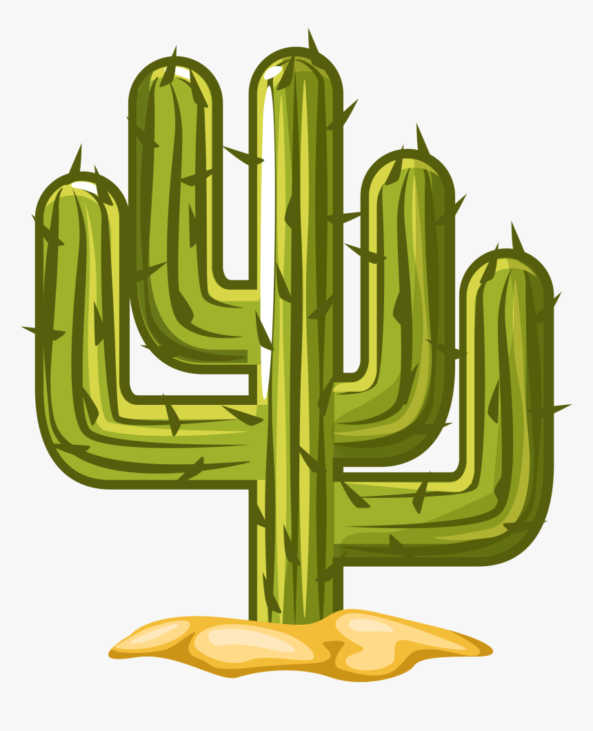Cactus, HD Png Download