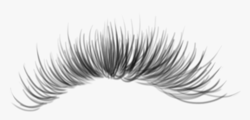 #eyelashes #freetoedit - Eyelash Extensions, HD Png Download