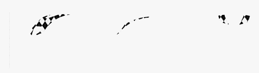 Seabird, HD Png Download