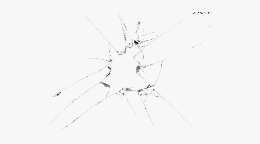 Broken Glass Clipart - Insect, HD Png Download