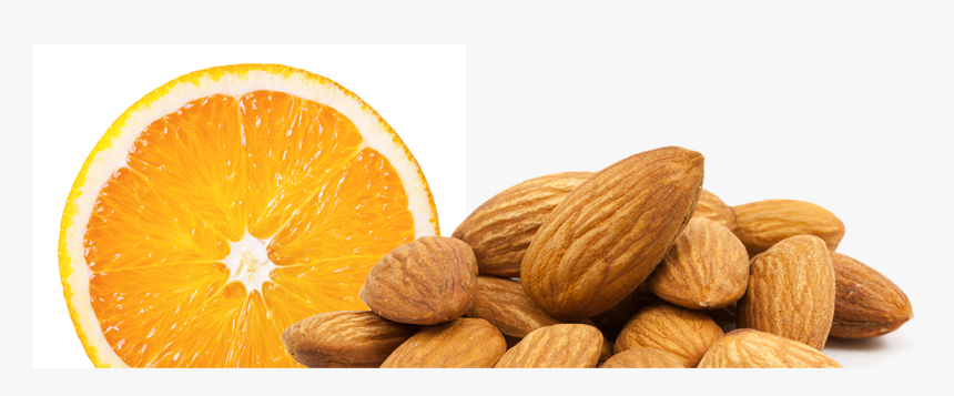 Almond Png - Almond Nuts, Transparent Png