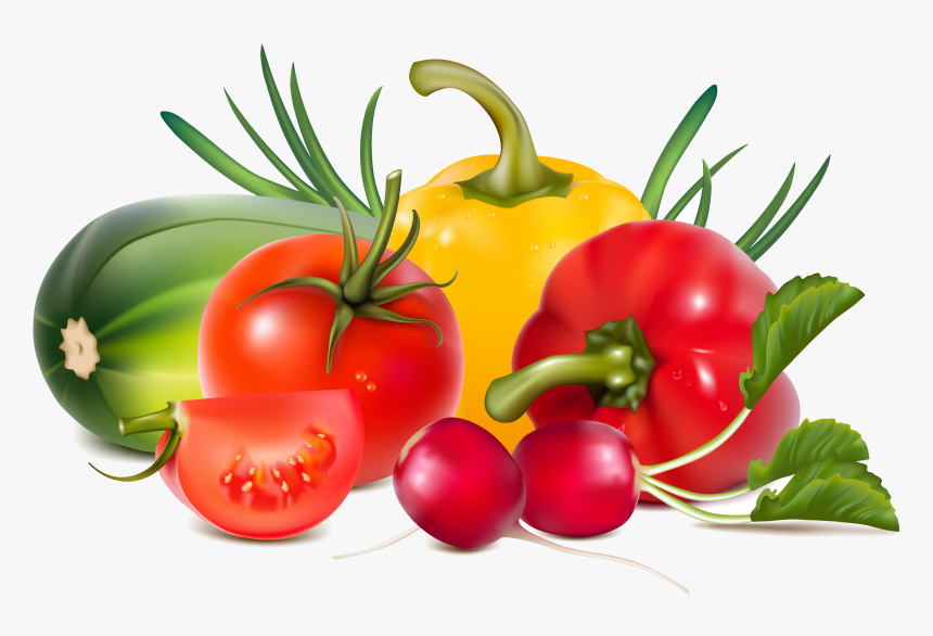 Fresh Vegetables Illustration Png, Transparent Png