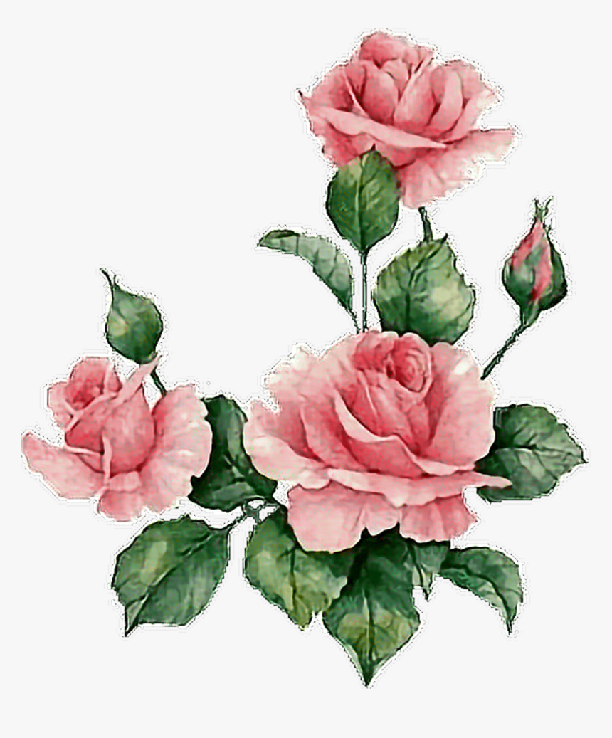 Flower Png, Transparent Png