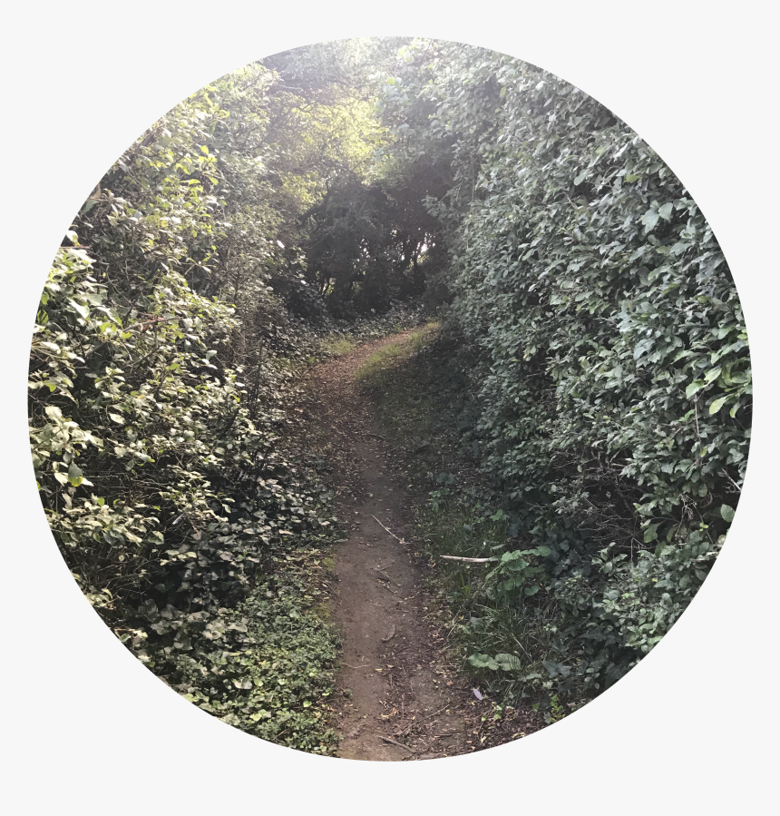 Circle, HD Png Download