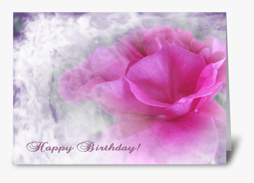Pink Rose Texture For Birthday Greeting Card - Hybrid Tea Rose, HD Png Download