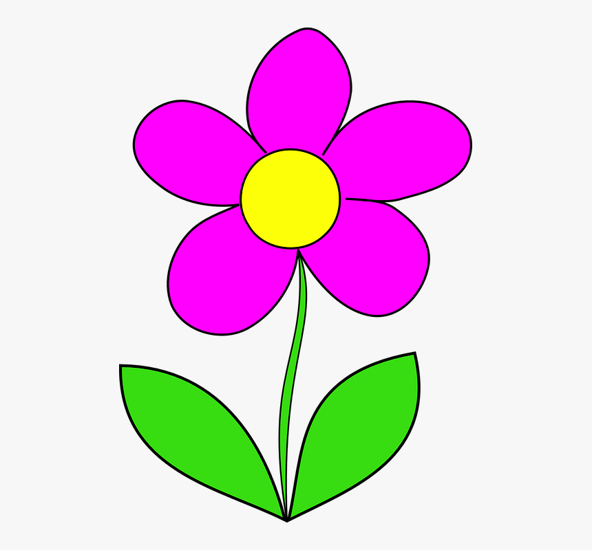Minocqua Public Library - Flowers Clipart, HD Png Download