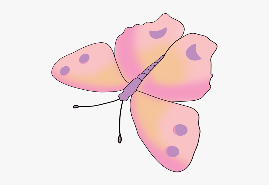 Butterfly Drawing Pink, HD Png Download