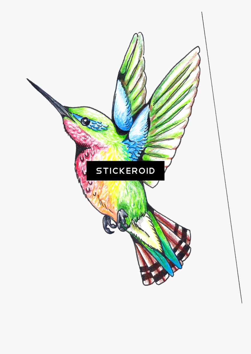 Hummingbird Clip Art Free Printable