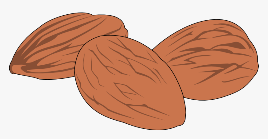 Canada S Guide To Healthy Eating - Nut Clipart Png, Transparent Png
