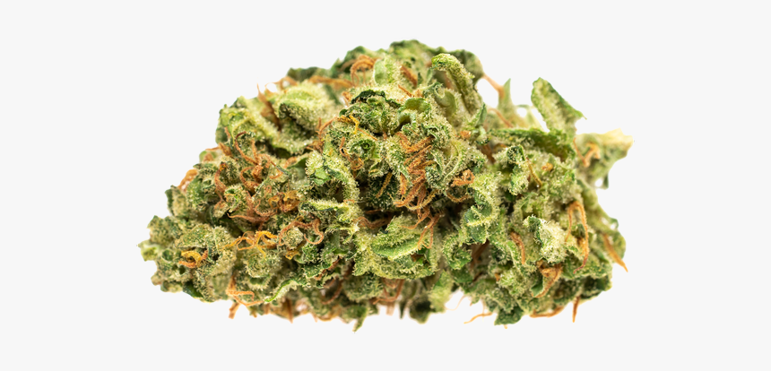 Good Supply Jean Guy, HD Png Download