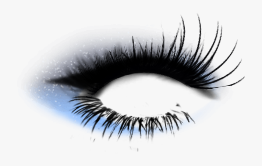 #makeup #eyeliner #eyelashes #bigeyelashes #wyeshadow - Eyelash Extensions, HD Png Download