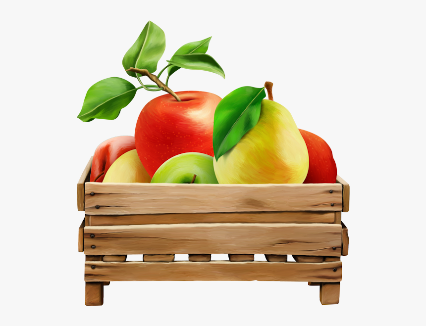 Tubes Fruits,tubes Legumes,clipart,png Fruit,psp,vector - Tangelo, Transparent Png