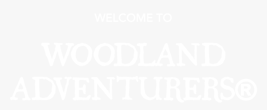 The Woodland Adventure Company - Wiltshire Woodlands Adventure Corsham Birthday Party, HD Png Download
