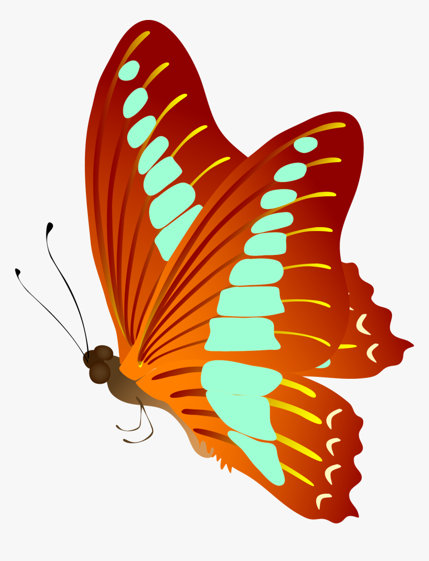 Butterfly Vector Free, HD Png Download