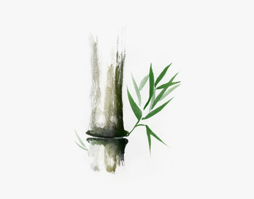 Bamboo Stalk Sumi-e Oriental Zen Painting Illustration, HD Png Download