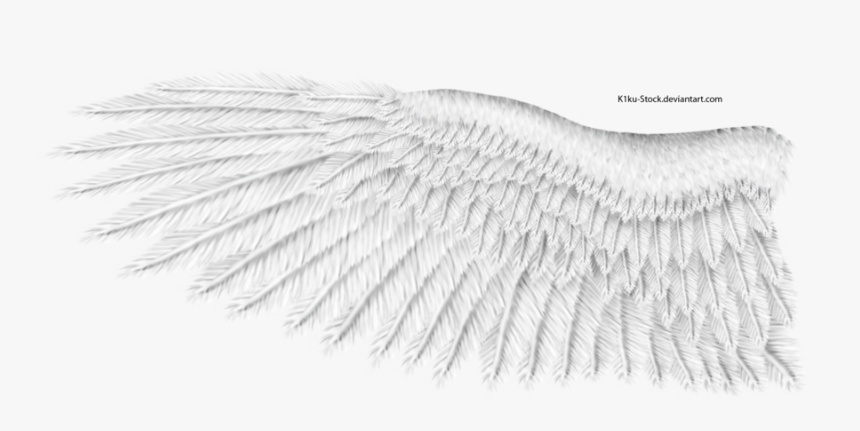 White Wings Png Download Image - White Eagle Wings Png, Transparent Png