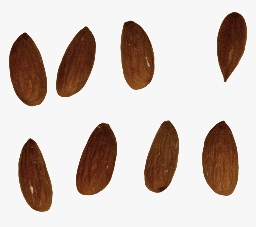 Almond Png - Plywood, Transparent Png
