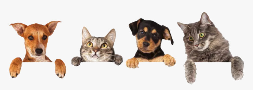 Kritter Kommunity - Dog And Cat Group, HD Png Download