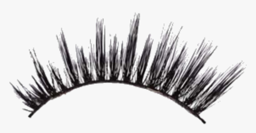 #eyelash #makeup #freetoedit - Eyelash Extensions, HD Png Download