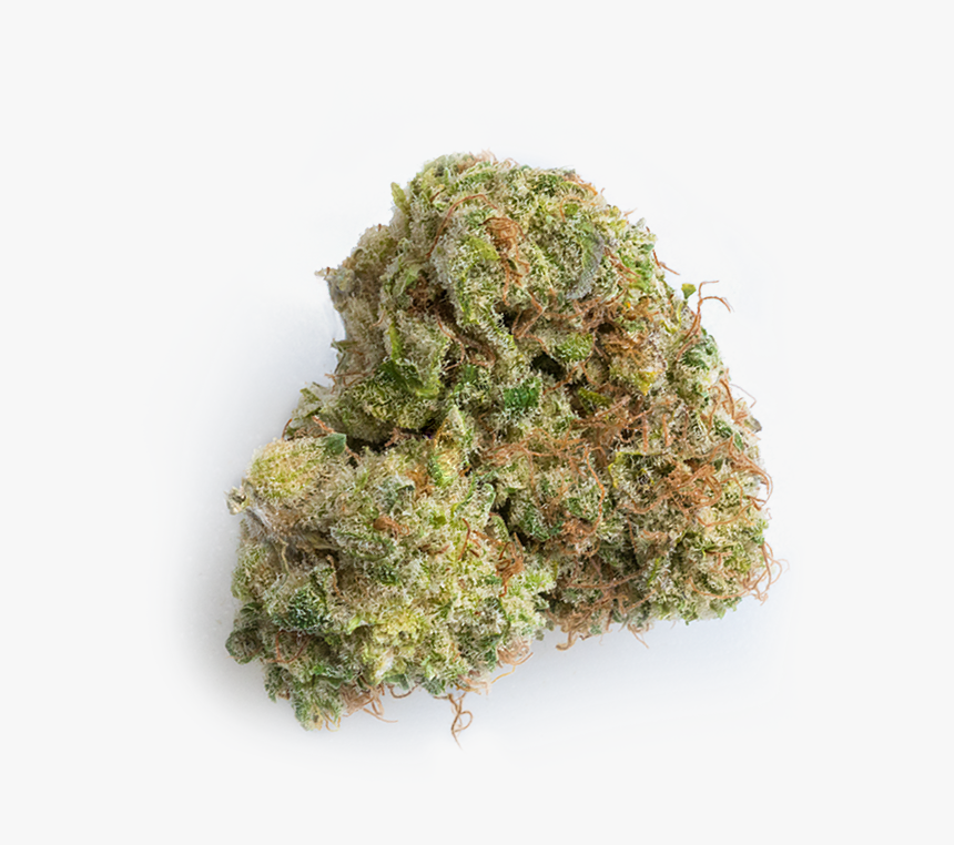 Agent Orange - Liverwort, HD Png Download
