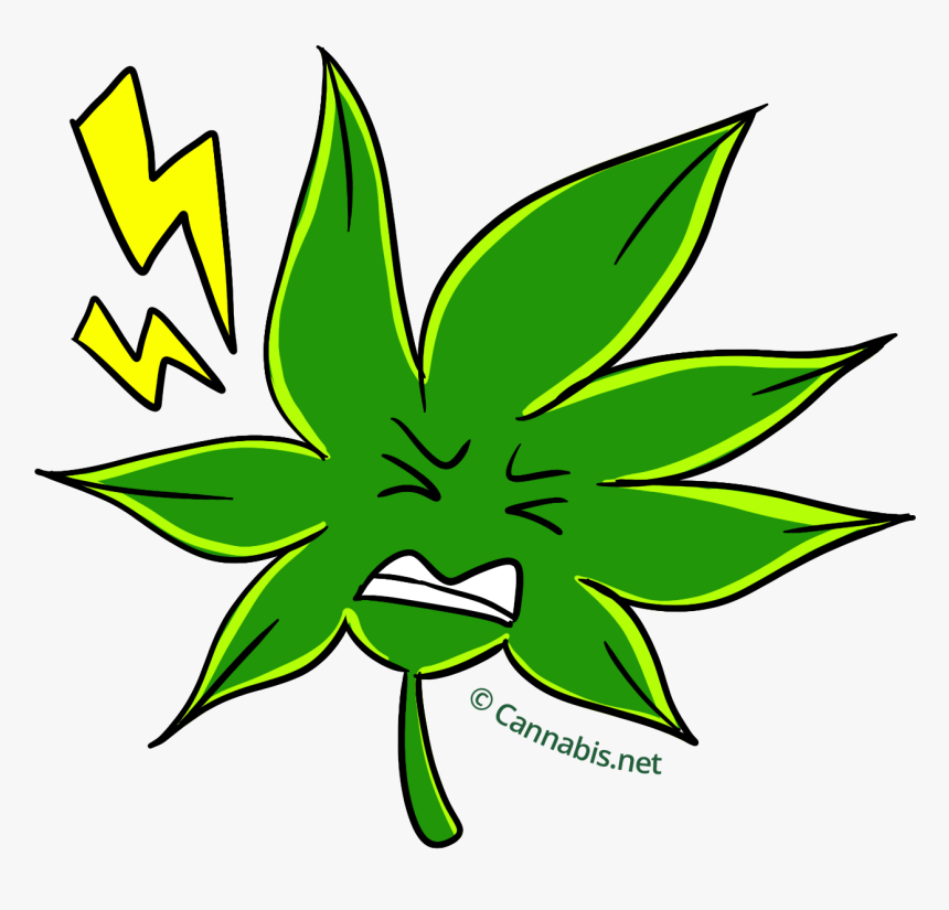Marijuana Clipart Doobie , Transparent Cartoons, HD Png Download