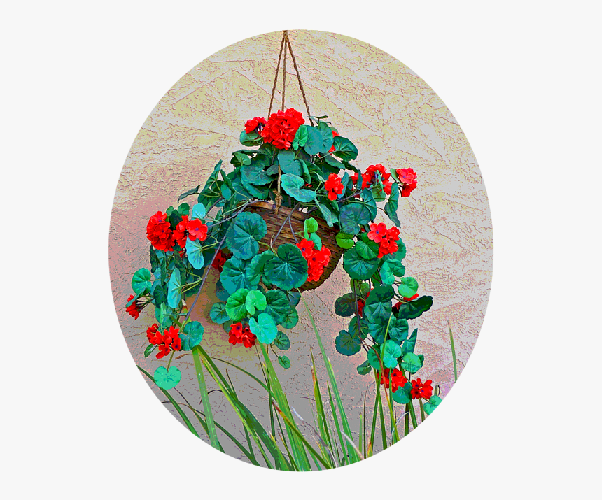 Floral Design, HD Png Download