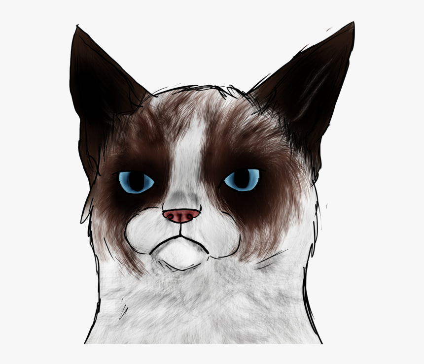 Cat, HD Png Download