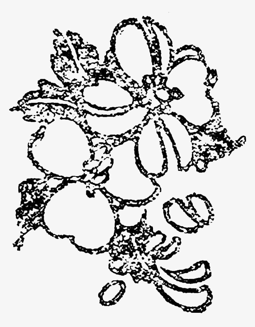 Illustration, HD Png Download