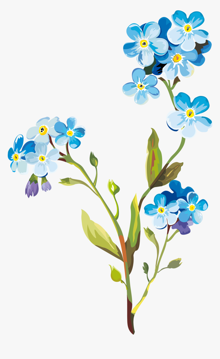 Flower Drawing Clip Art, HD Png Download