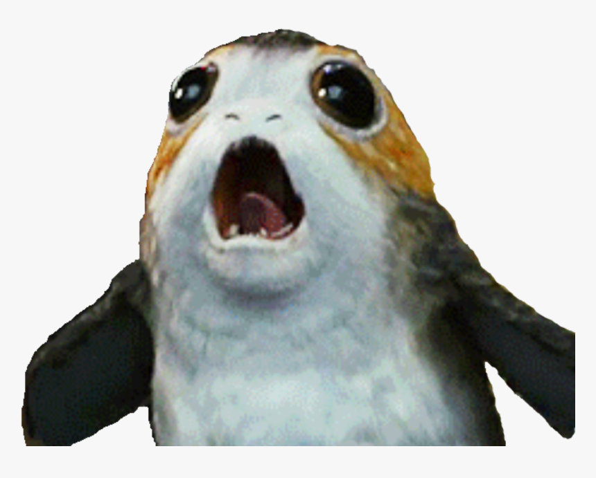 #freetoedit #porg #porgs #starwars - Star Wars Porg Png, Transparent Png