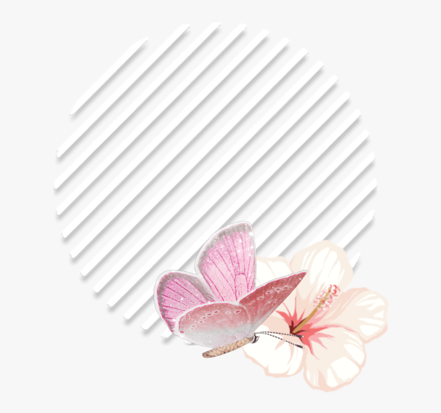 #flowers #circle #geometricshapes #geometric #frame - Обкладинки В Інстаграм, HD Png Download