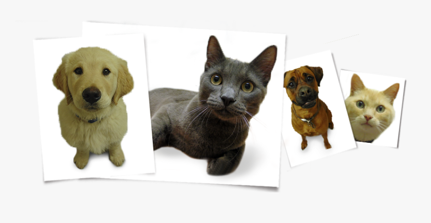 Korat, HD Png Download