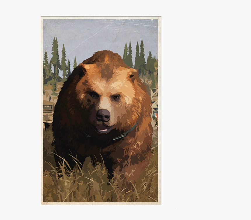 Kodiak Bear, HD Png Download