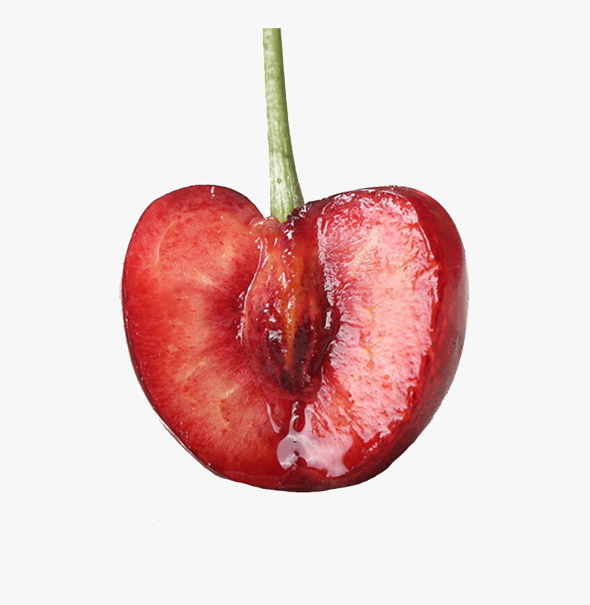 Still Life Photography, HD Png Download