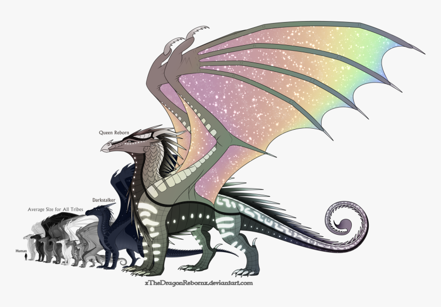 Dragonet Wings Of Fire, HD Png Download